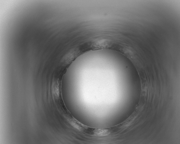 X0000067340334200604071357