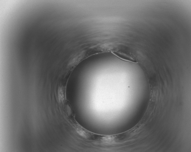 X0000067340335200604071357