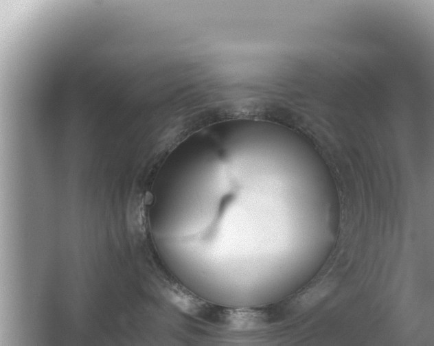 X0000067340336200604071357