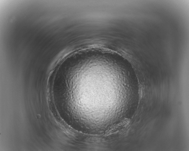 X0000067340339200604071357