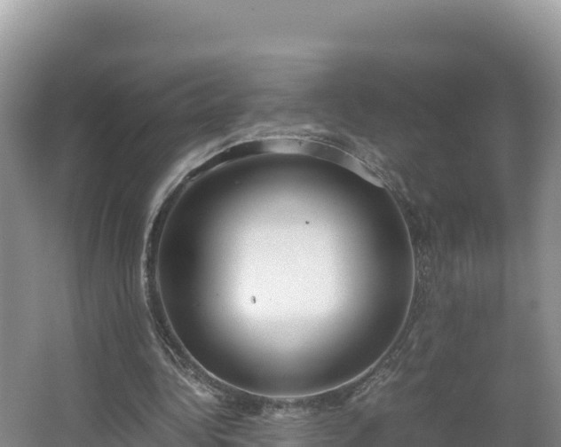 X0000067340340200604071357