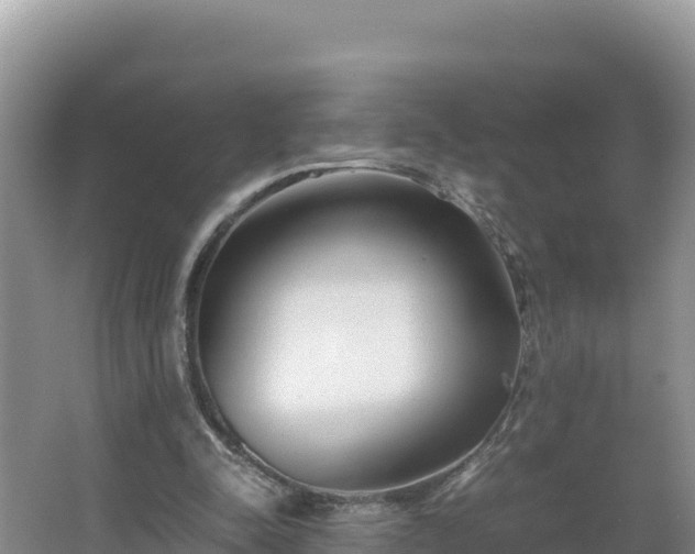 X0000067340342200604071357