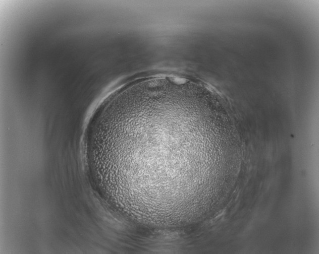 X0000067340343200604071357