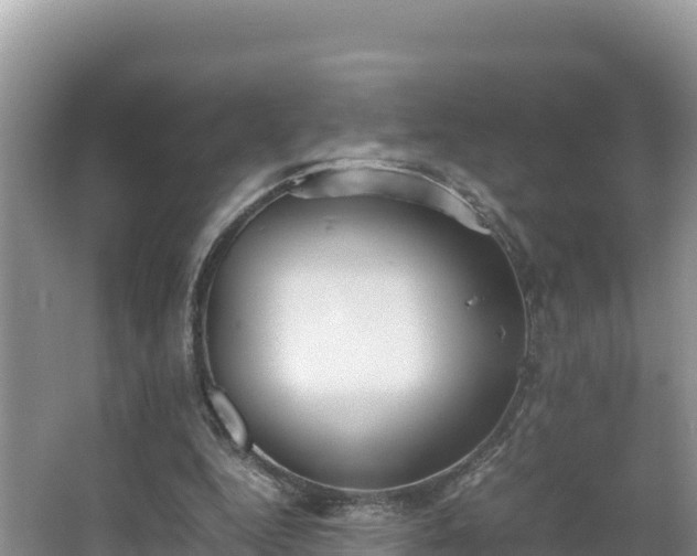 X0000067340344200604071357