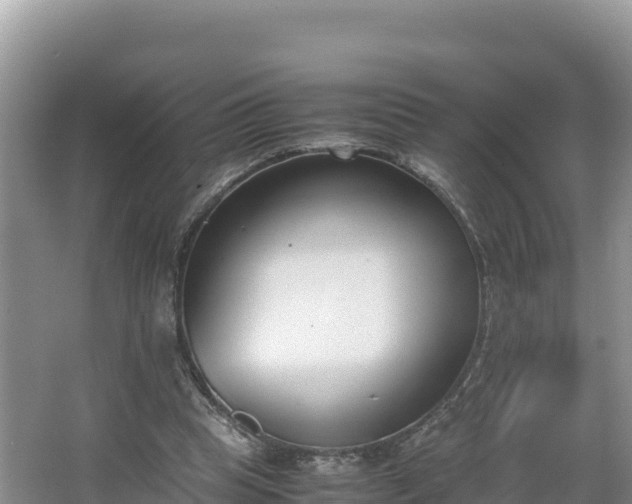 X0000067340345200604071357