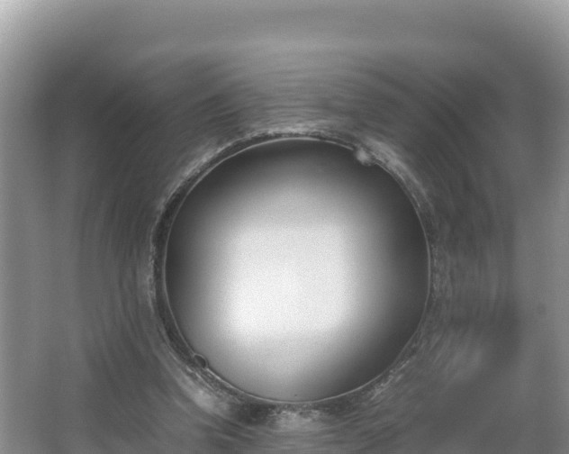 X0000067340346200604071357