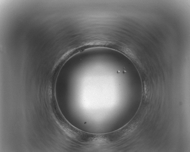 X0000067340348200604071357