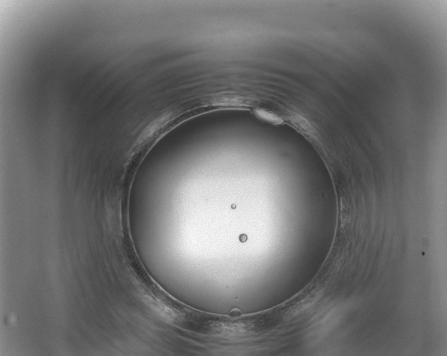 X0000067340349200604071357