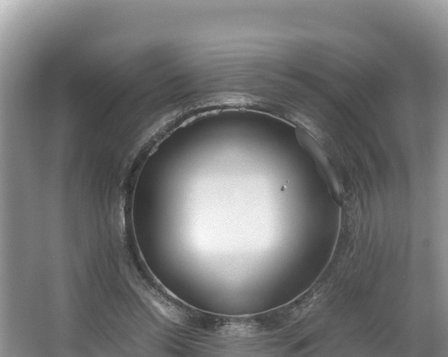 X0000067340350200604071357