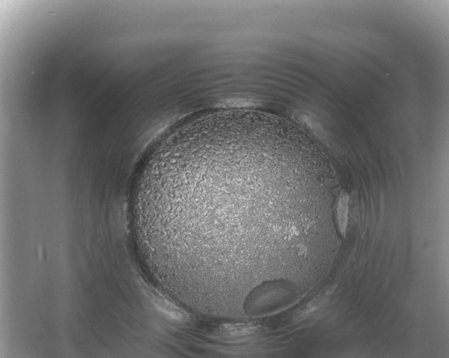 X0000067340351200604071357