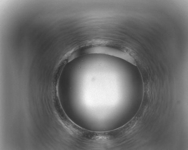 X0000067340352200604071357