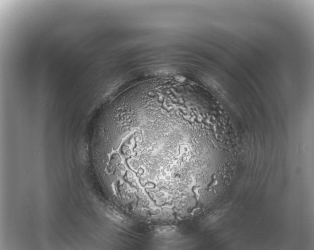 X0000067340355200604071357