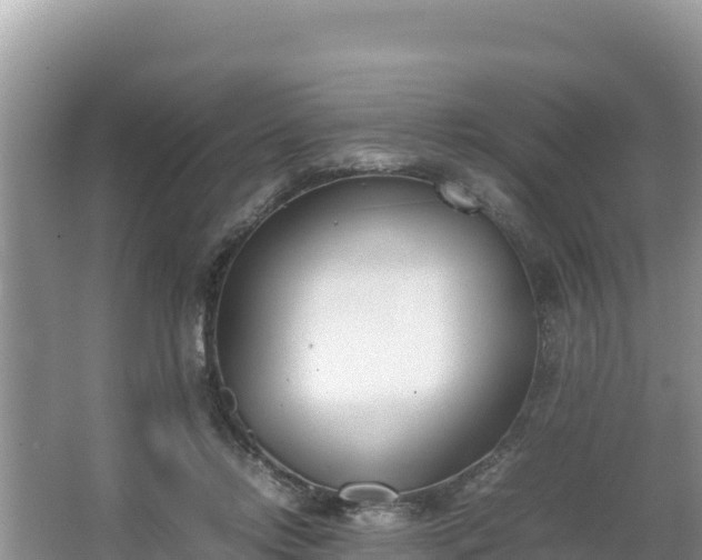 X0000067340358200604071357