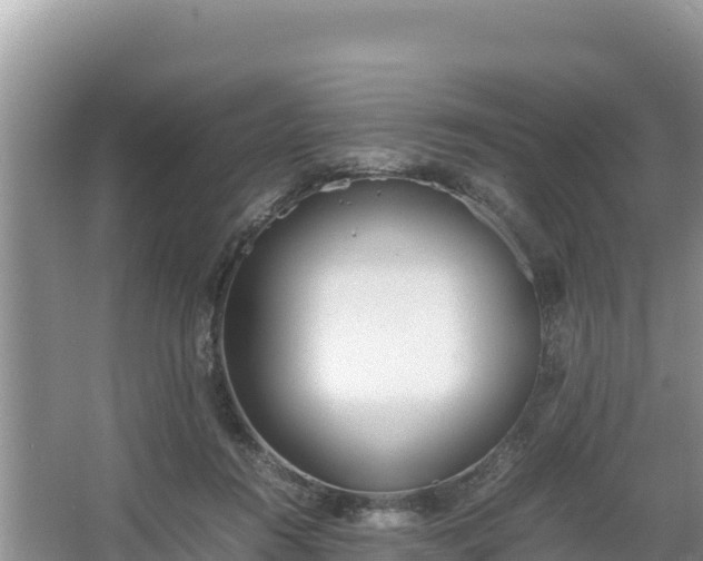 X0000067340360200604071357