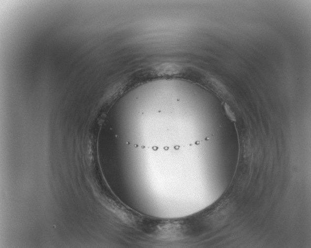 X0000067340362200604071357