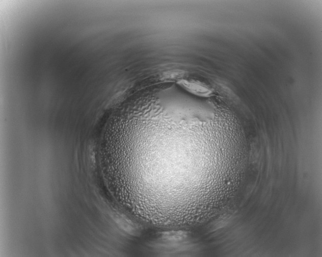 X0000067340363200604071357