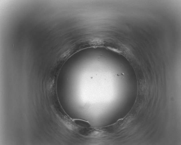 X0000067340364200604071357