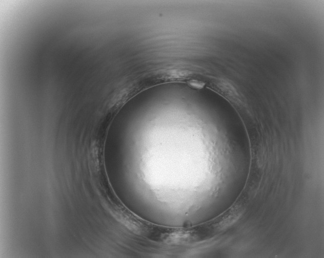 X0000067340366200604071357