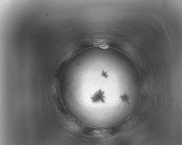 X0000067340367200604071357