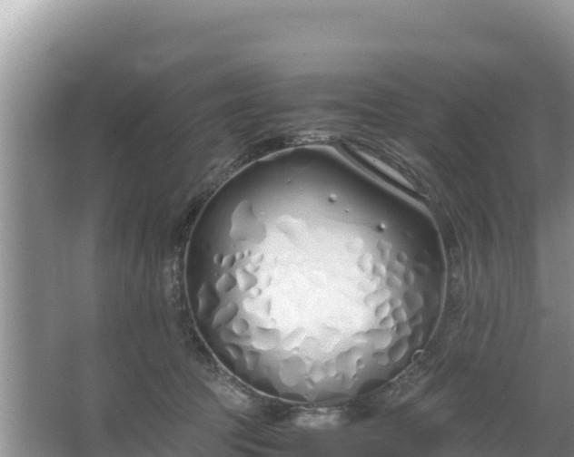 X0000067340369200604071357