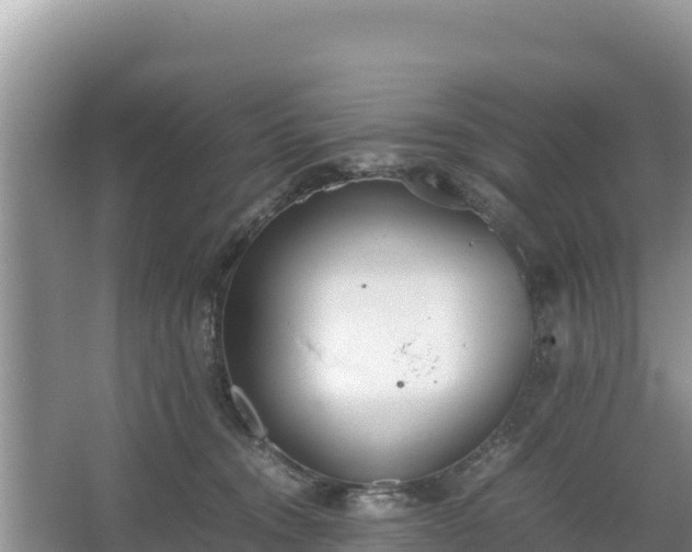 X0000067340372200604071357