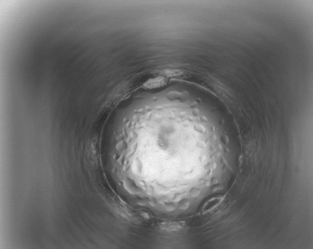 X0000067340373200604071357