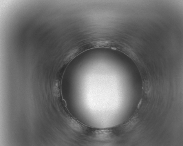 X0000067340378200604071357