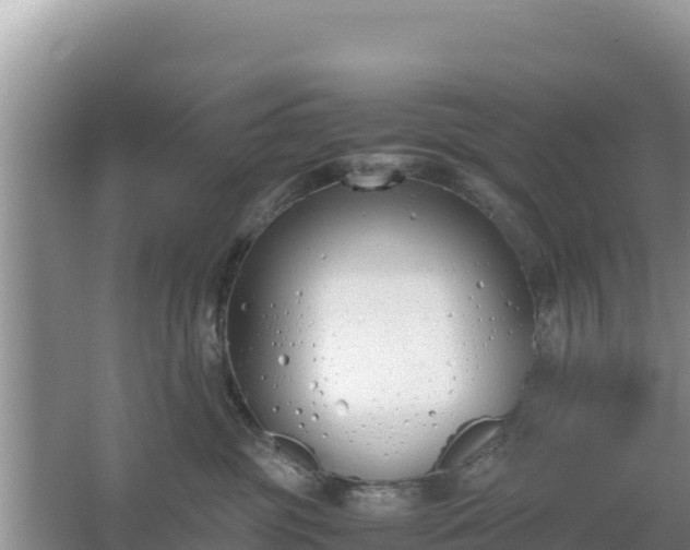 X0000067340381200604071357