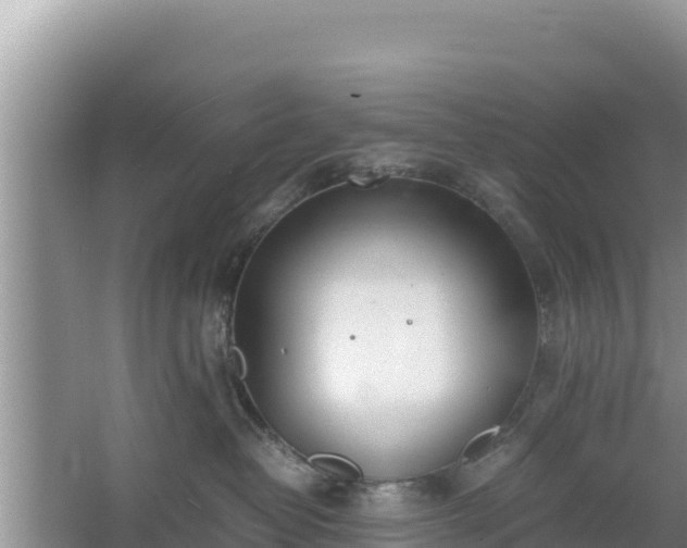 X0000067340382200604071357