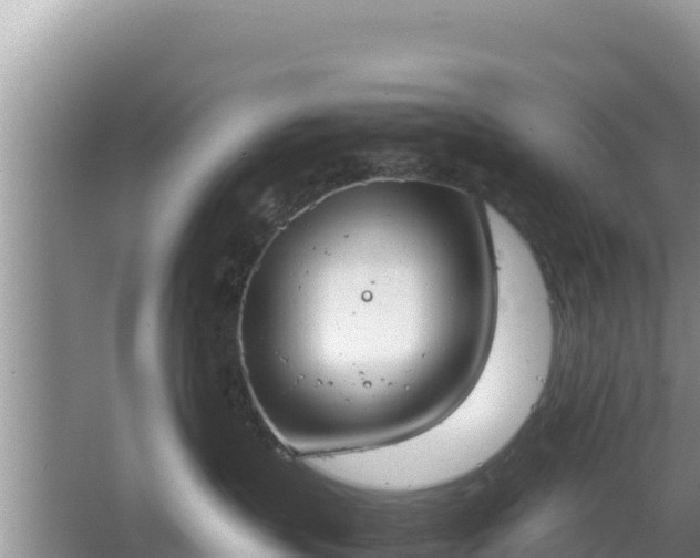 X0000067340383200604071357