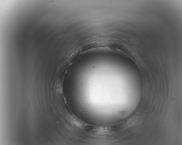 X0000067340384200604071357