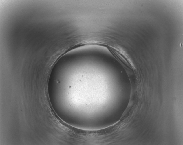 X0000067340385200604071357