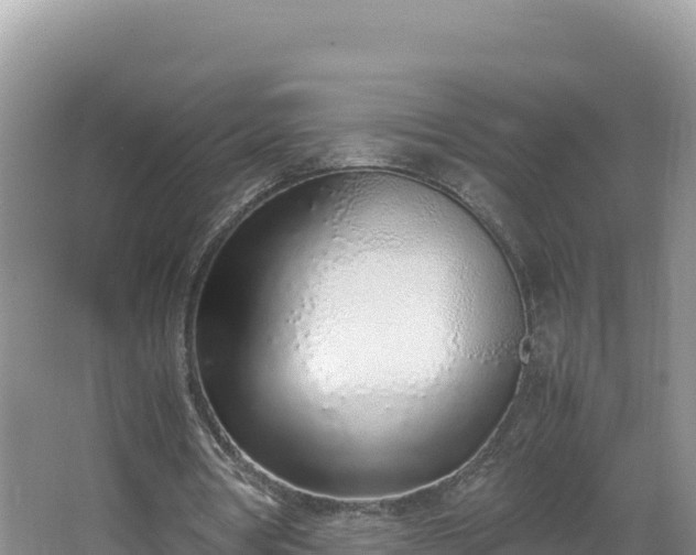 X0000067340386200604071357