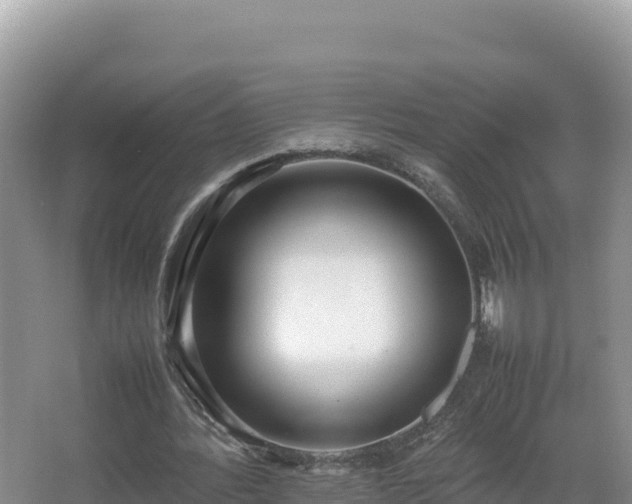 X0000067340388200604071357