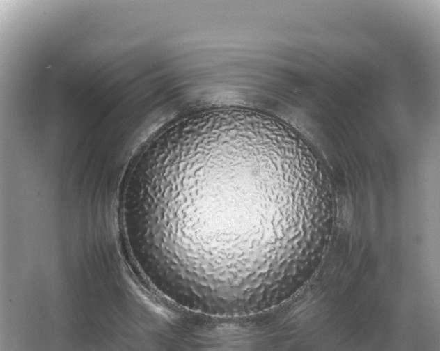 X0000067340390200604071357