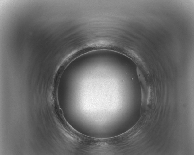 X0000067340392200604071356