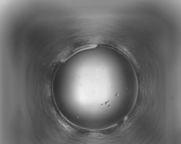 X0000067340393200604071356