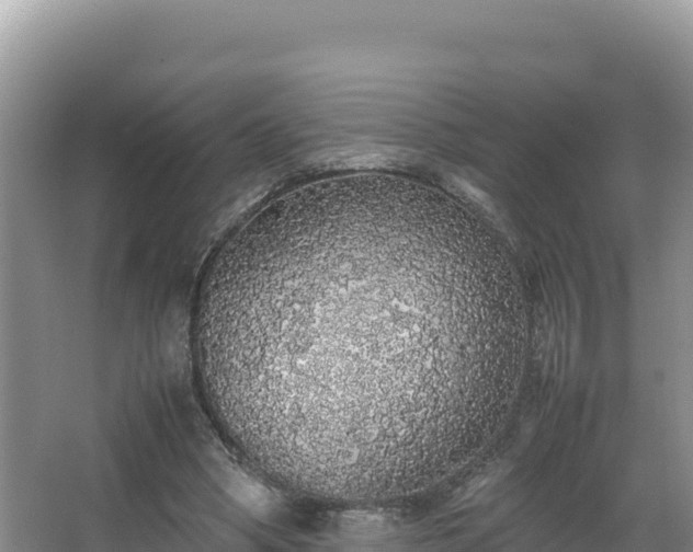 X0000067340394200604071356