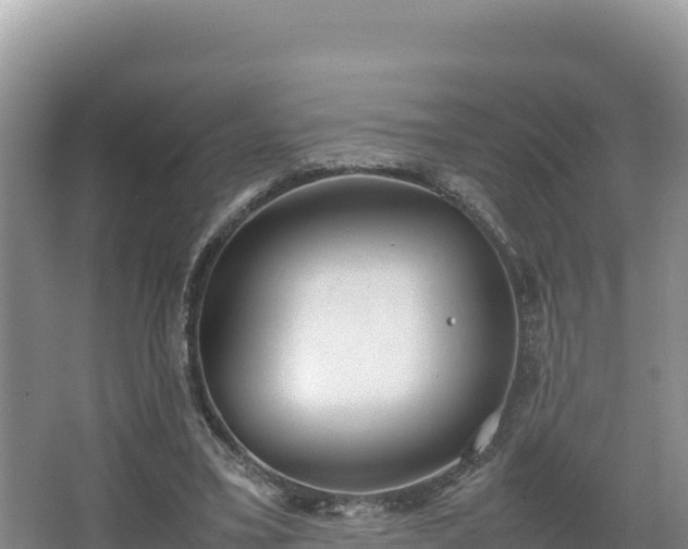 X0000067340395200604071356