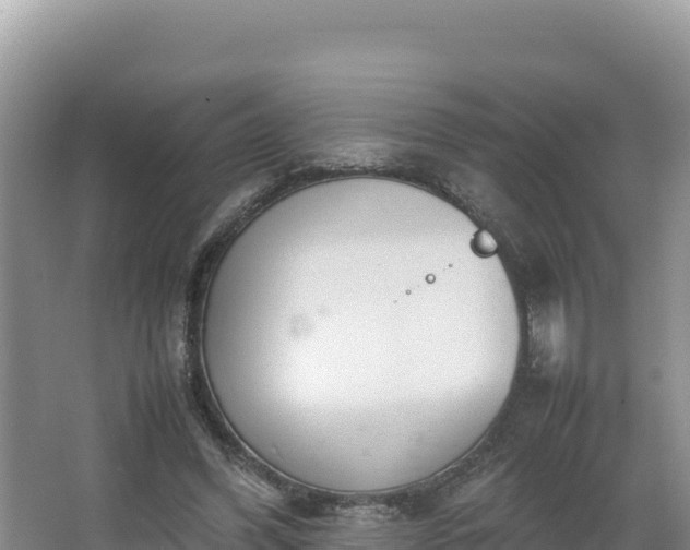 X0000067340396200604071356