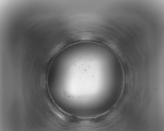 X0000067340397200604071356