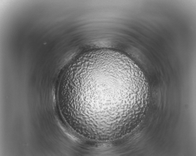 X0000067340398200604071356