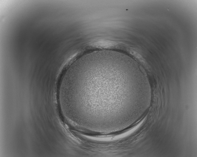 X0000067340399200604071356