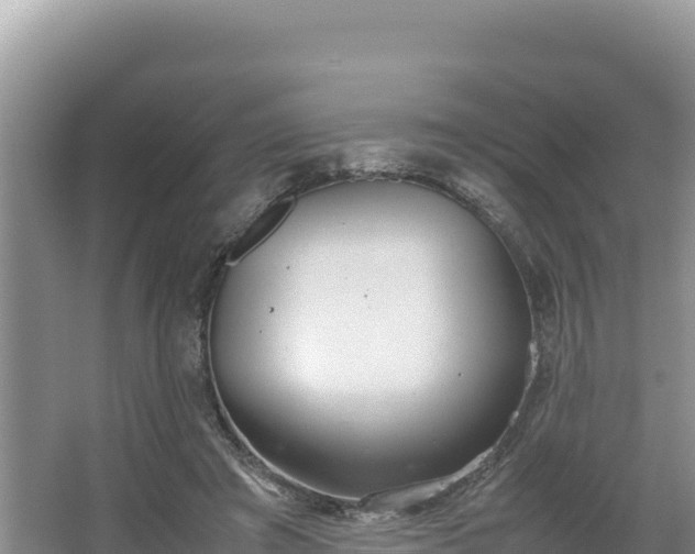 X0000067340401200604071356