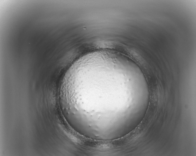 X0000067340402200604071356