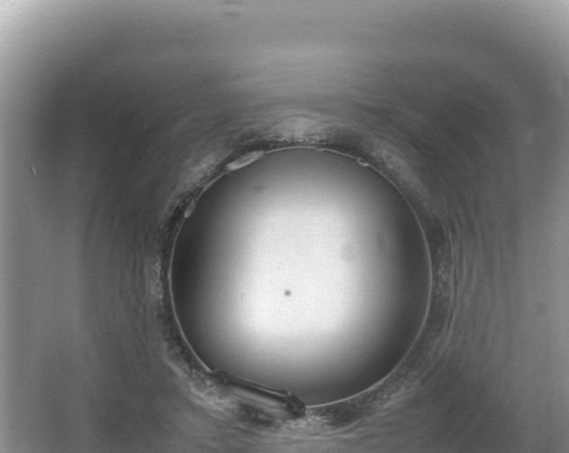 X0000067340403200604071356