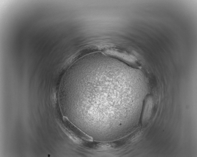 X0000067340405200604071356