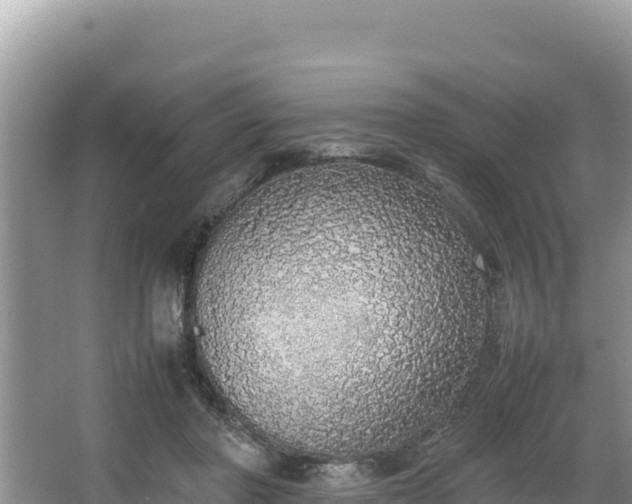 X0000067340406200604071356