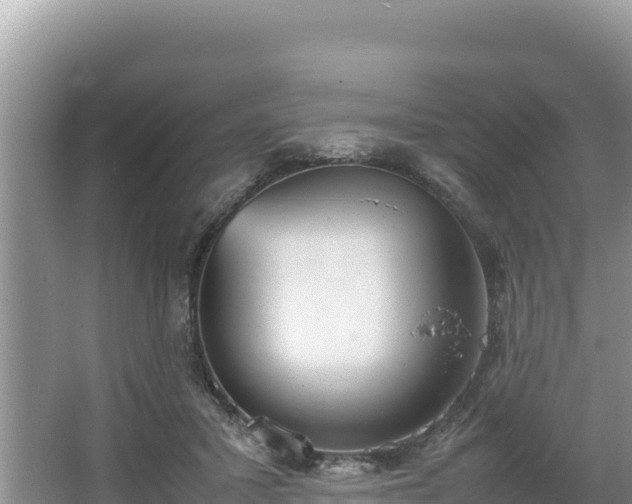 X0000067340407200604071356