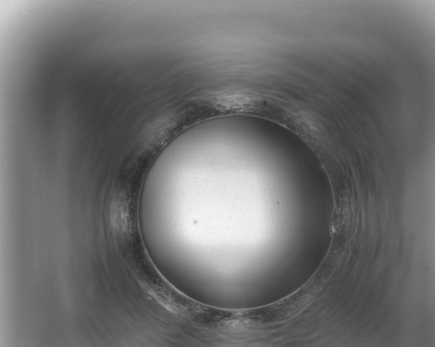 X0000067340408200604071356